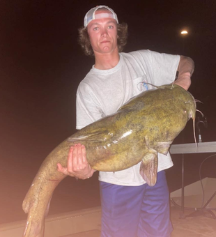 Catfish In Pennsylvania 